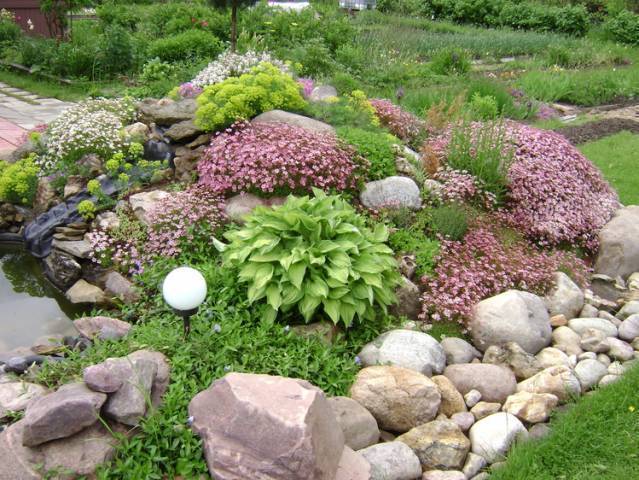 Альпийская горка без камней Альпийская горка без камней