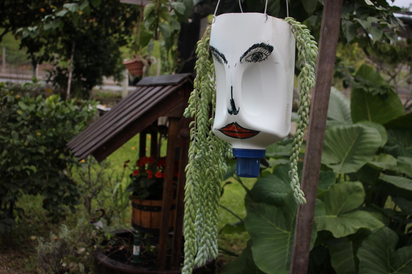 8 Steps to Amazing DIY Head Planters for Indoor & Outdoor Gardens homify