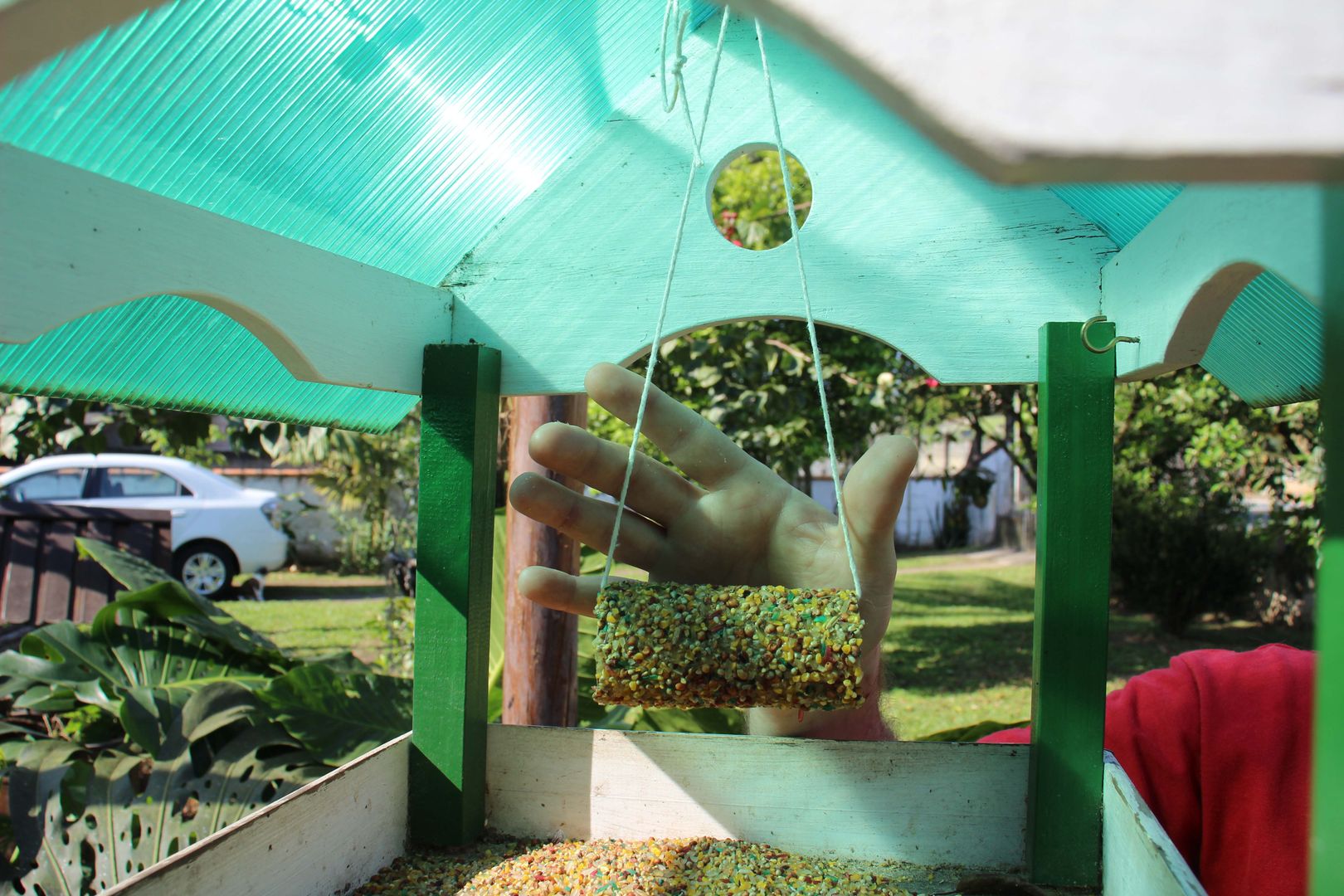 7 Sensational Steps to make a DIY Toilet Paper Roll Bird Feeder homify