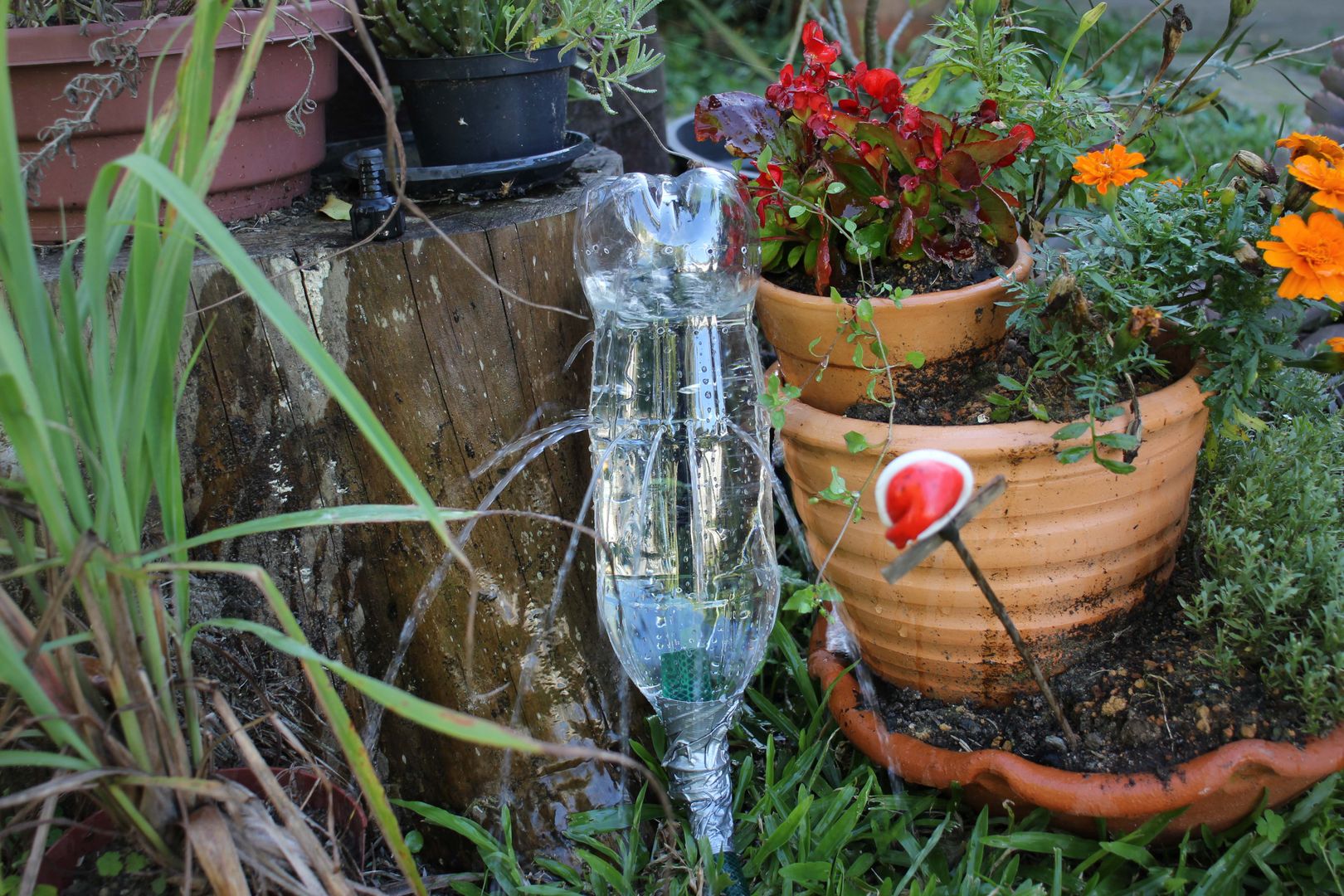 Make a DIY Soda Bottle Sprinkler for Your Garden [7 Easy Steps] homify