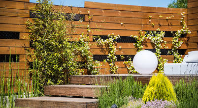 Diseño y construcción de piscinas y jardines zen en Madrid, AGi architects arquitectos y diseñadores en Madrid AGi architects arquitectos y diseñadores en Madrid Zengarden Drvo Efekt drveta