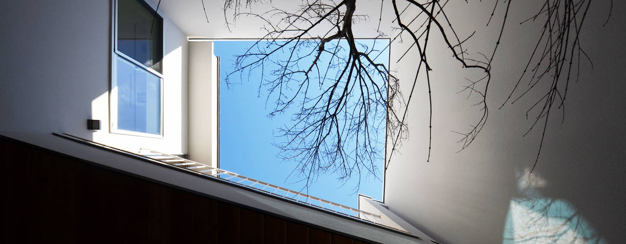 保谷Ｏ邸, 遠藤誠建築設計事務所(MAKOTO ENDO ARCHITECTS) 遠藤誠建築設計事務所(MAKOTO ENDO ARCHITECTS) モダンな庭