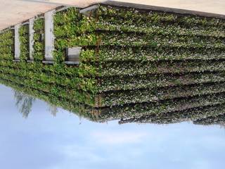 Verde verticale esterni - outdoor living walls, Studio Paolo Pessina Studio Paolo Pessina