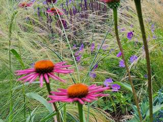 Jardin au Naturel à Colmar (Alsace) , SCHAEDELE PAYSAGISTE SCHAEDELE PAYSAGISTE Палісадник