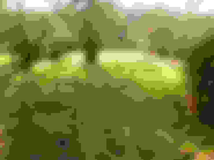 15 maneras fabulosas de colocar césped en tu jardín ¡quedará hermoso!