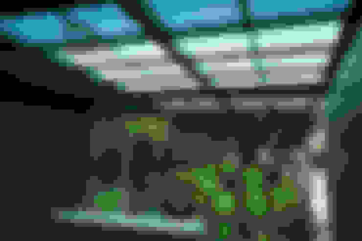 Rumah Bergaya Tropis untuk Anda yang Tinggal di Daerah Dua 