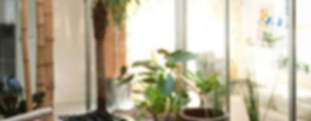 10 ideas súper creativas para rescatar un jardÃn chiquitito