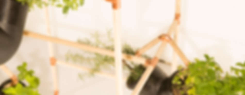 Cómo hacer un huerto vertical en casa y cuánto cuesta