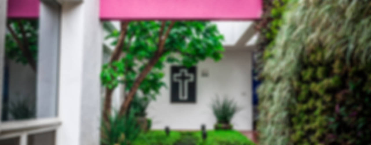 Urban Landscape Eclectic style gardens