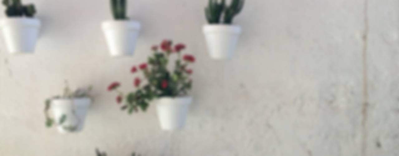 壁掛け鉢で室内に植物の壁をつくろう Homify 壁掛け鉢で室内に植物の壁をつくろう Homify