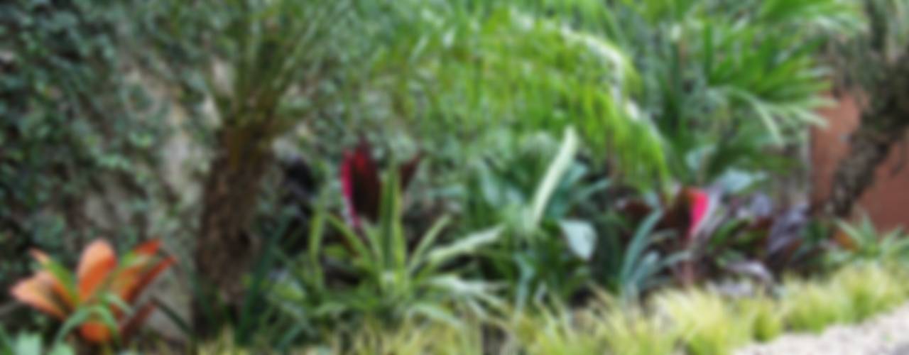 Jardín de Sombra, Estudio Nicolas Pierry: Diseño en Arquitectura de Paisajes & Jardines Estudio Nicolas Pierry: Diseño en Arquitectura de Paisajes & Jardines Egzotyczny ogród