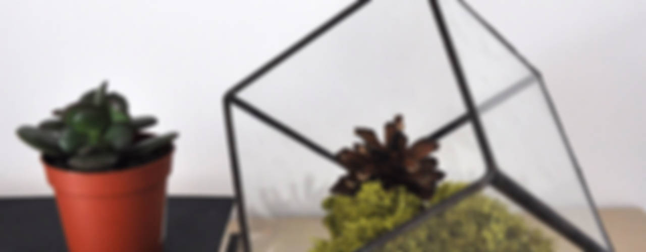 Terrario Cubo, ZetaGlass ZetaGlass Giardino in stile industriale Vetro