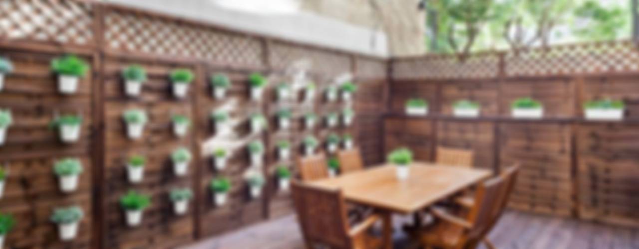 7 easy steps to create a kitchen garden in your small home | homify