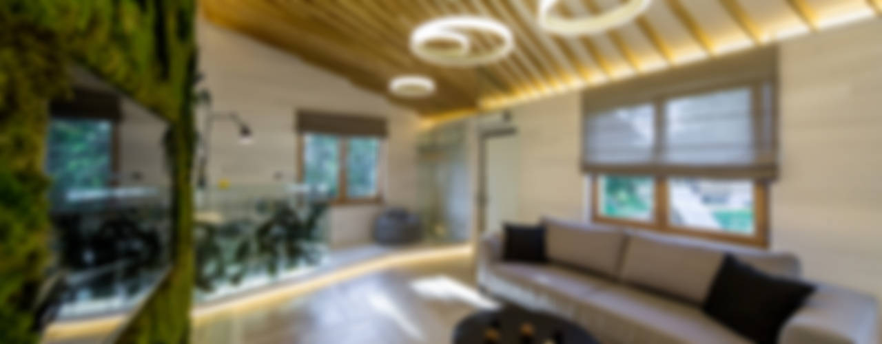 Михаил Новинский (MNdesign) Living room