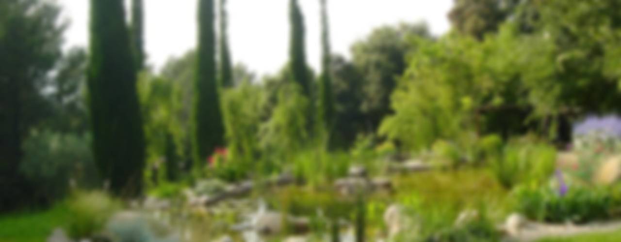 Estanque de Girona, abpaisajismo abpaisajismo Modern style gardens