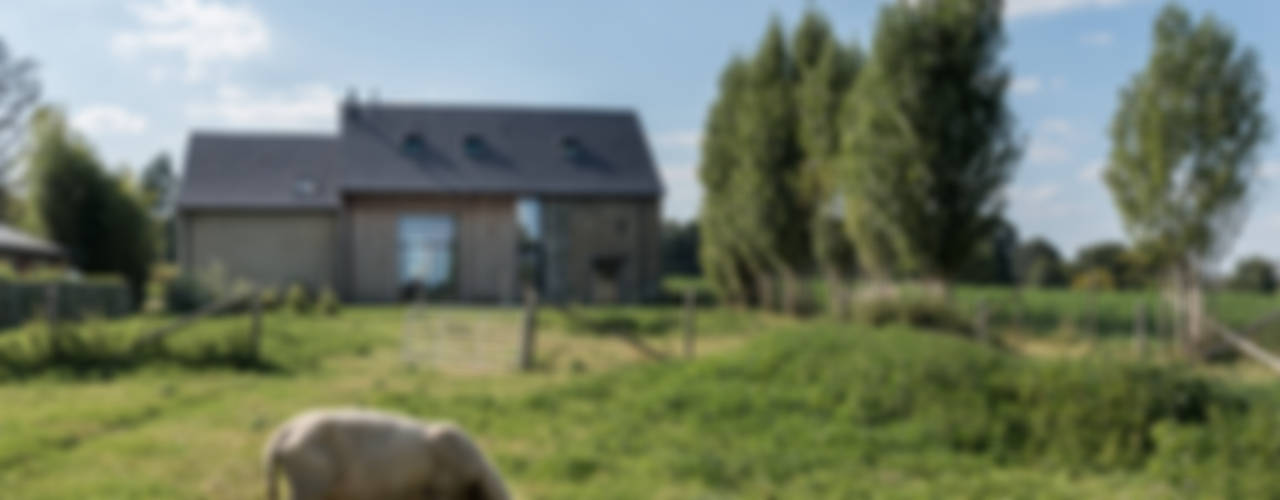 Das Unglaubliche Comeback: Inter Se Apoia Na Semifinal Do Brasileiro De 1975 Para Passar Na Copa Do Brasil! - fublfu8