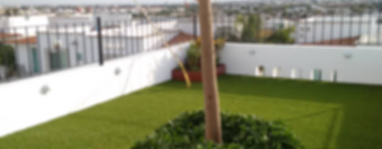 ROOF GARDEN MARTÍNEZ, Arqca Arqca Сад в стиле модерн