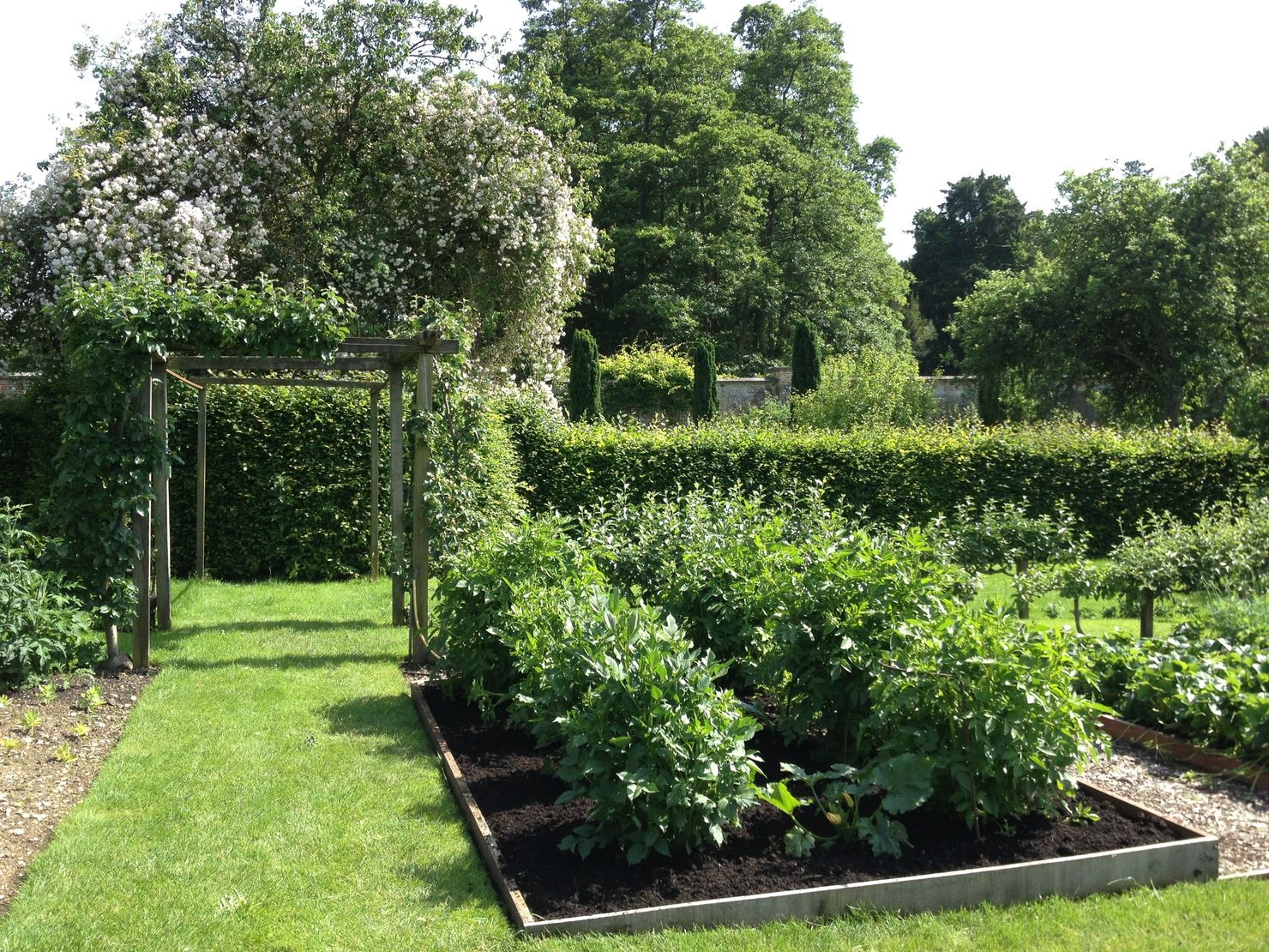 Английский огород. Огород в деревне. Английский огород фото. English Vegetable Garden.