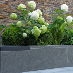 Garten, Gartengestaltung, Ideen und Bilder | homify