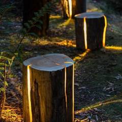 Cracked Log Lamps, Duncan Meerding Duncan Meerding 에클레틱 정원 조명