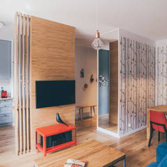 projekt aranżacji apartamentu w Gdyni, em2 em2 Nowoczesny salon