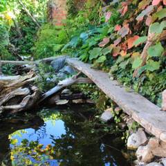 Tropische Gartengestaltung, Ideen und Bilder | homify