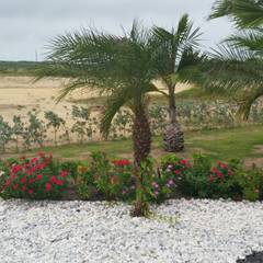 Jardines: ideas, paisajismo e imágenes | homify