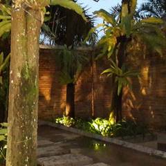 Tropische Gartengestaltung, Ideen und Bilder | homify