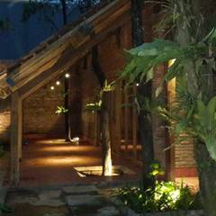 Tropische Gartengestaltung, Ideen und Bilder | homify