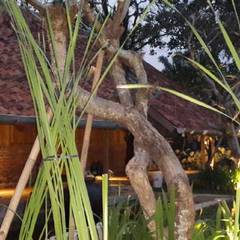 Tropische Gartengestaltung, Ideen und Bilder | homify