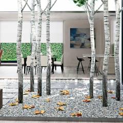 Jardines de invierno: ideas, paisajismo e imágenes | homify