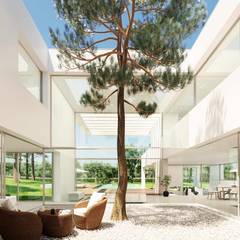 Obra nueva de Arquitectura de autor en Madrid: Jardines japoneses de estilo  de Otto Medem Arquitecto vanguardista en Madrid, Moderno  