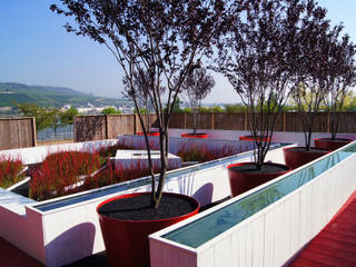 Zwischennutzung: Jardins surprise - La couleur des éléments, Planungsbüro STEFAN LAPORT Planungsbüro STEFAN LAPORT Modern garden