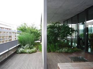 Wohnhaussammlung Boros, Berlin, Optigrün international AG Optigrün international AG Varandas, alpendres e terraços