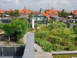 Wiegmann-Klinik, Berlin, Optigrün international AG Optigrün international AG Balcony, Porch & Terrace design ideas