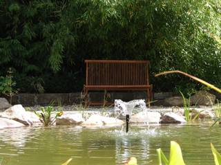 Vom Pool zum Naturteich, Schönberg. Pflanzdesign Schönberg. Pflanzdesign モダンな庭