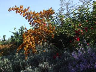 Ein Garten für die Mitarbeiter, Schönberg. Pflanzdesign Schönberg. Pflanzdesign 庭