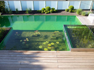 Balena Pools, Balena GmbH Balena GmbH Garden Pool