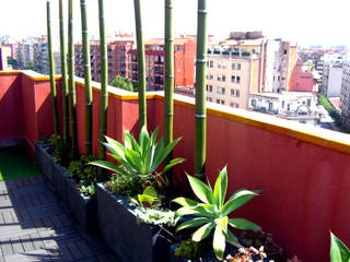 Barcelona-Meridiana, Simbiosi Estudi Simbiosi Estudi Modern Garden