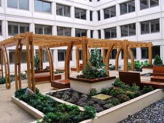Our Work, EcoCurves - Bespoke Glulam Timber Arches EcoCurves - Bespoke Glulam Timber Arches Garden design ideas