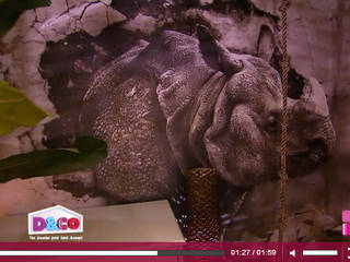 UN PAPIER PEINT RHINOCÉROS POUR LA CHAMBRE DE SASHA DANS L'EMISSION DU 19 FEVRIER 2014, YEDA YEDA 牆面