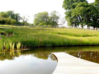 Follers Manor, Wildflower Turf Wildflower Turf Wiejski ogród