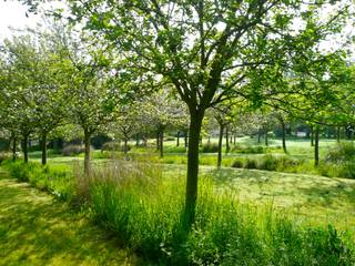 Jardins de Campagne, Landscapes & Cie Landscapes & Cie Classic style garden