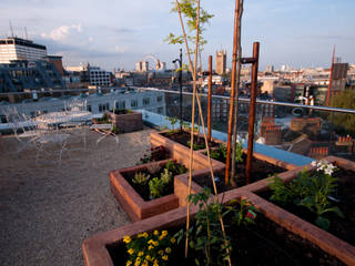 A Stunning Penthouse Terrace Project in London, Urban Roof Gardens Urban Roof Gardens モダンデザインの テラス