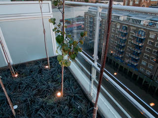 Southbank, London, Urban Roof Gardens Urban Roof Gardens Moderner Balkon, Veranda & Terrasse