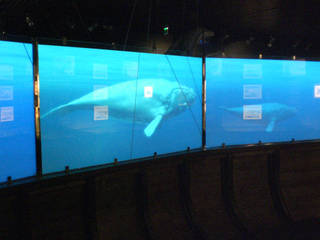 Aquarium San Sebastián, Vidrios de privacidad Vidrios de privacidad Museos