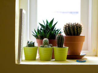 Single Storey Rear Extension N10 , RS Architects RS Architects Modern Living Room