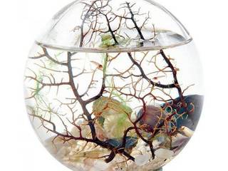 Bioglobe, naturellement-deco naturellement-deco Maisons originales