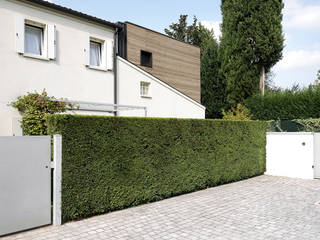 house AS, Didonè Comacchio Architects Didonè Comacchio Architects Rumah Modern