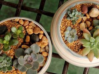 Mini-Jardins , Luiza Soares - Paisagismo Luiza Soares - Paisagismo Jardin minimaliste Pots de fleurs & vases